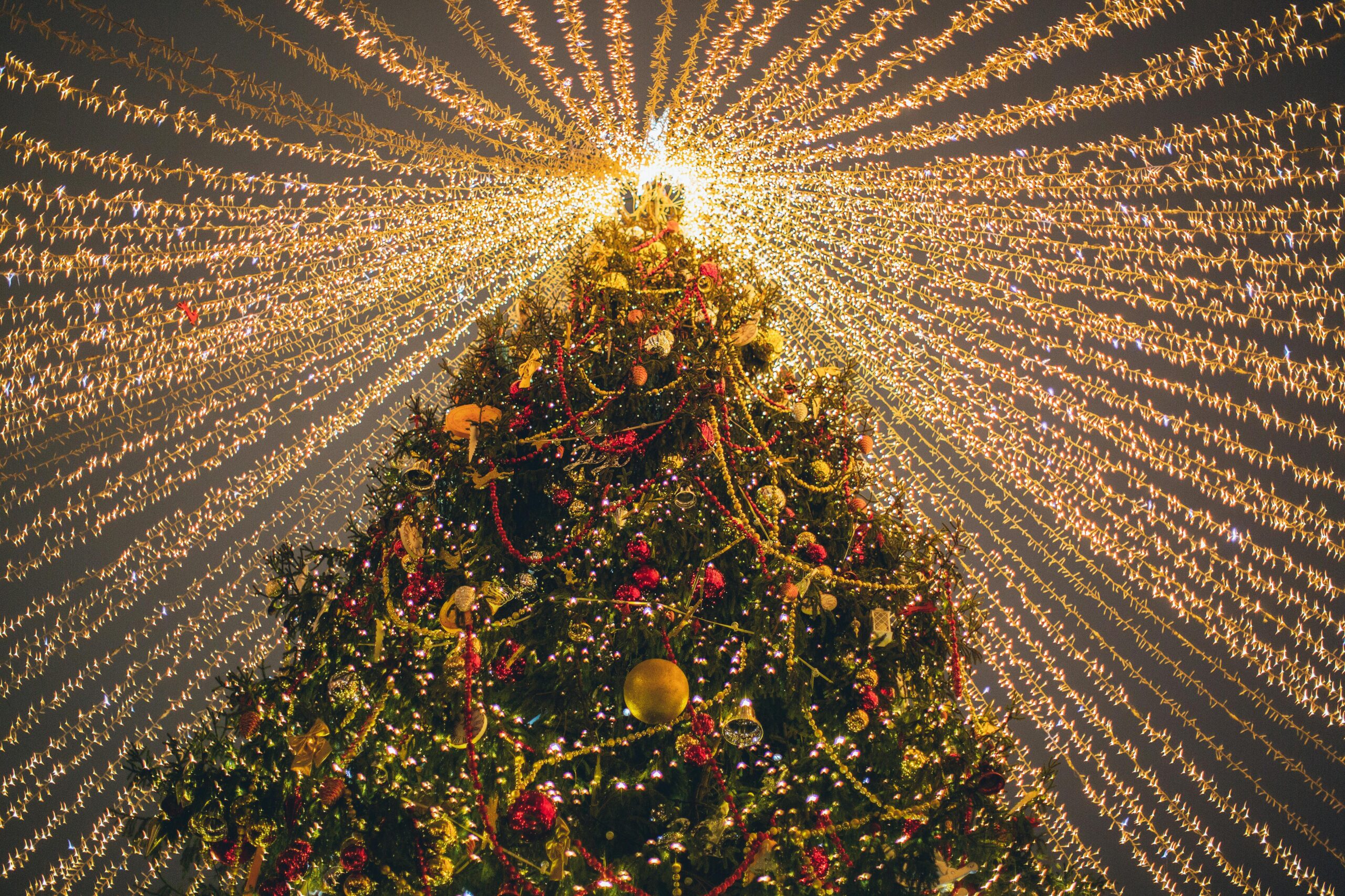 Vocal Arts of Castle Rock Choir: Winter Concert
