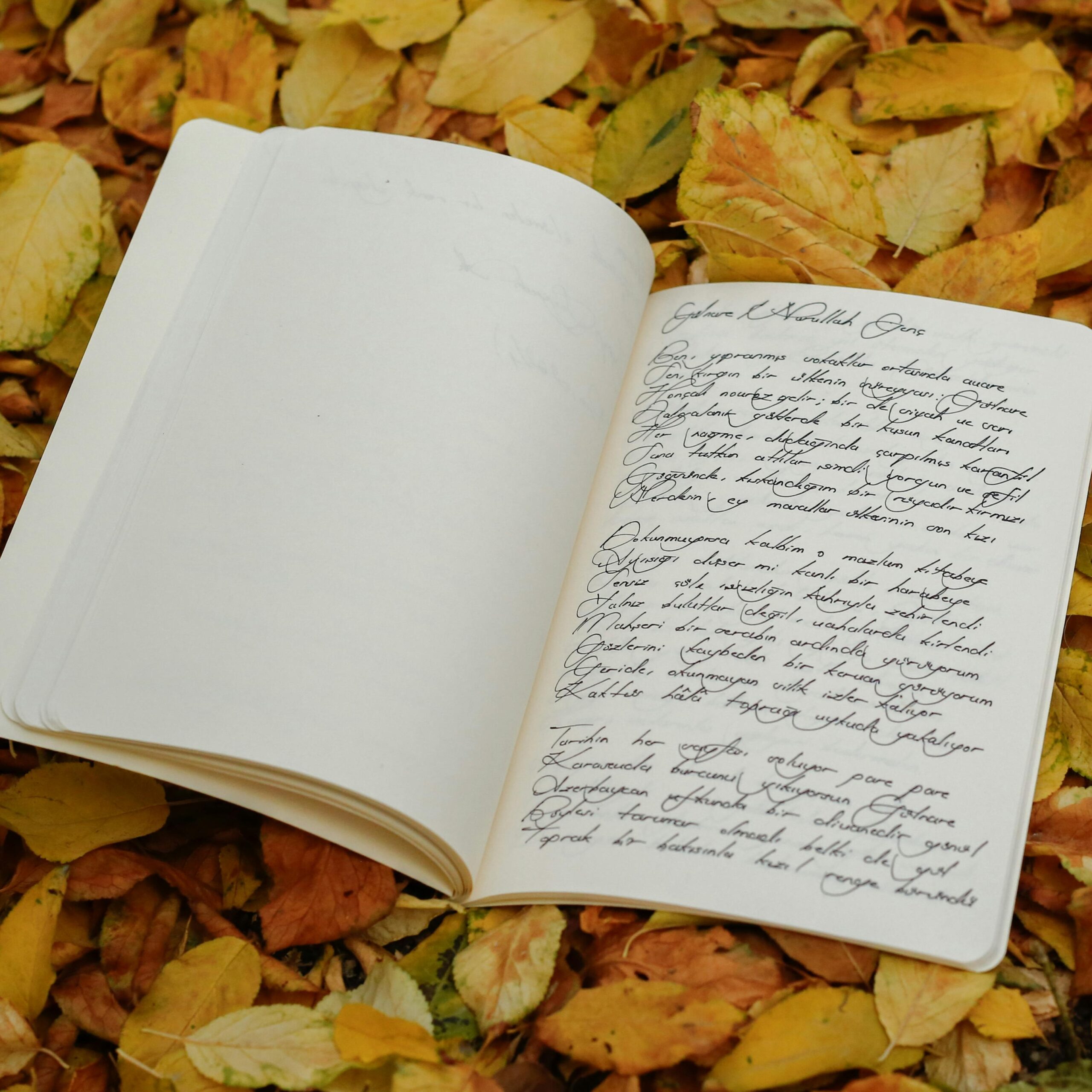 Memoir Writing Level I