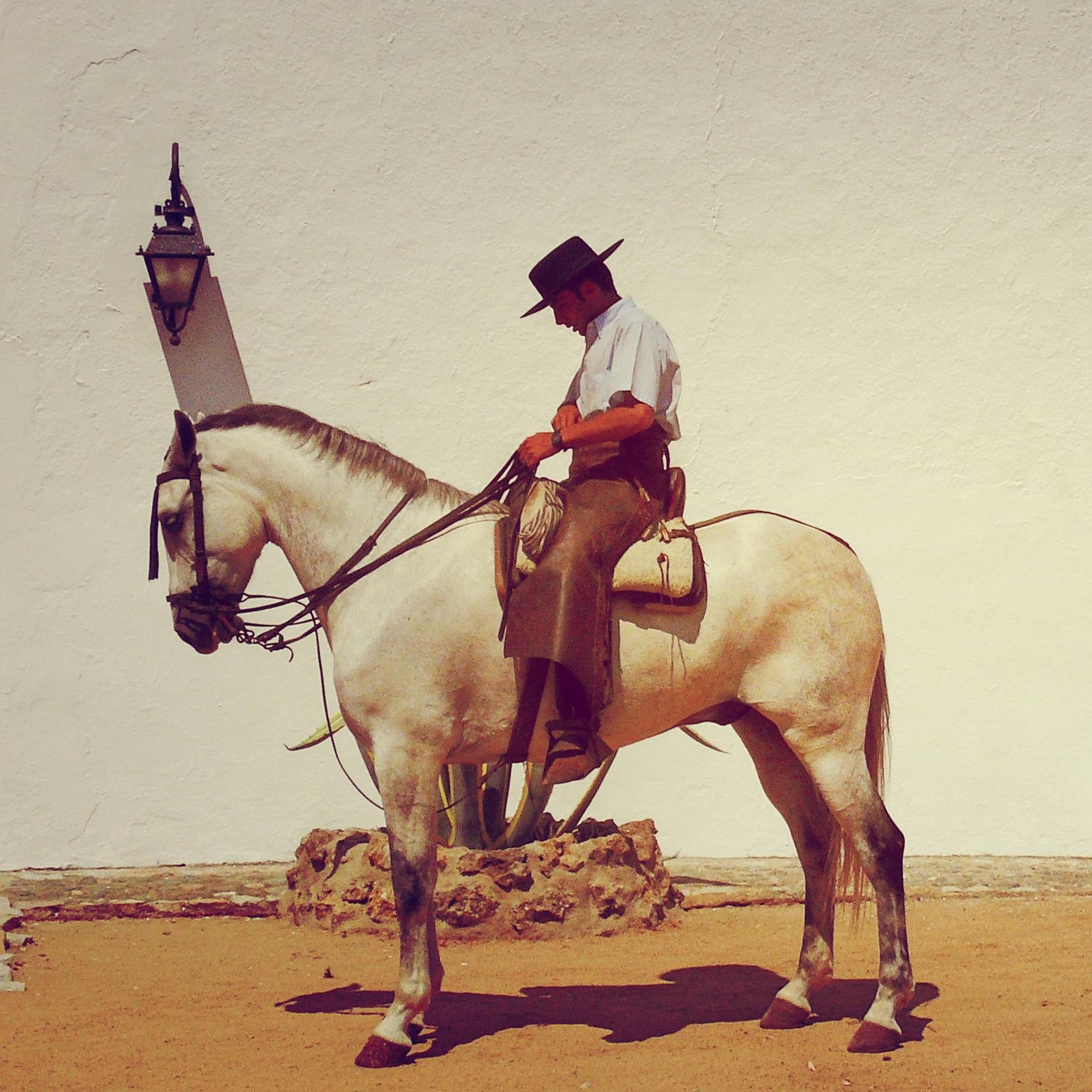 Art Appreciation:  How The West Was Spun - American Western Art