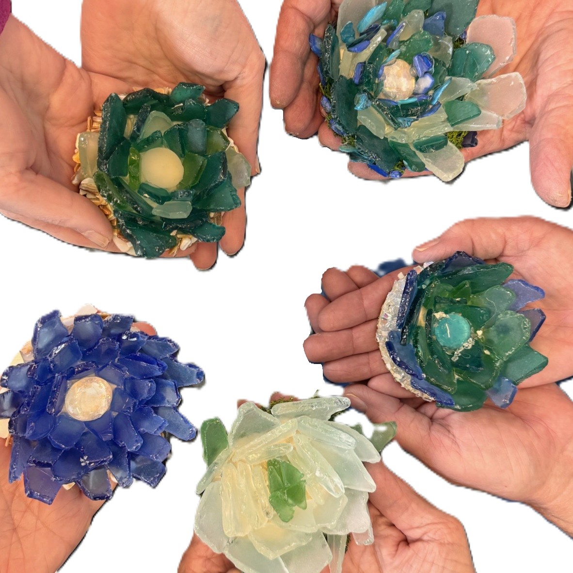 Sea Glass Succulent - Beginner