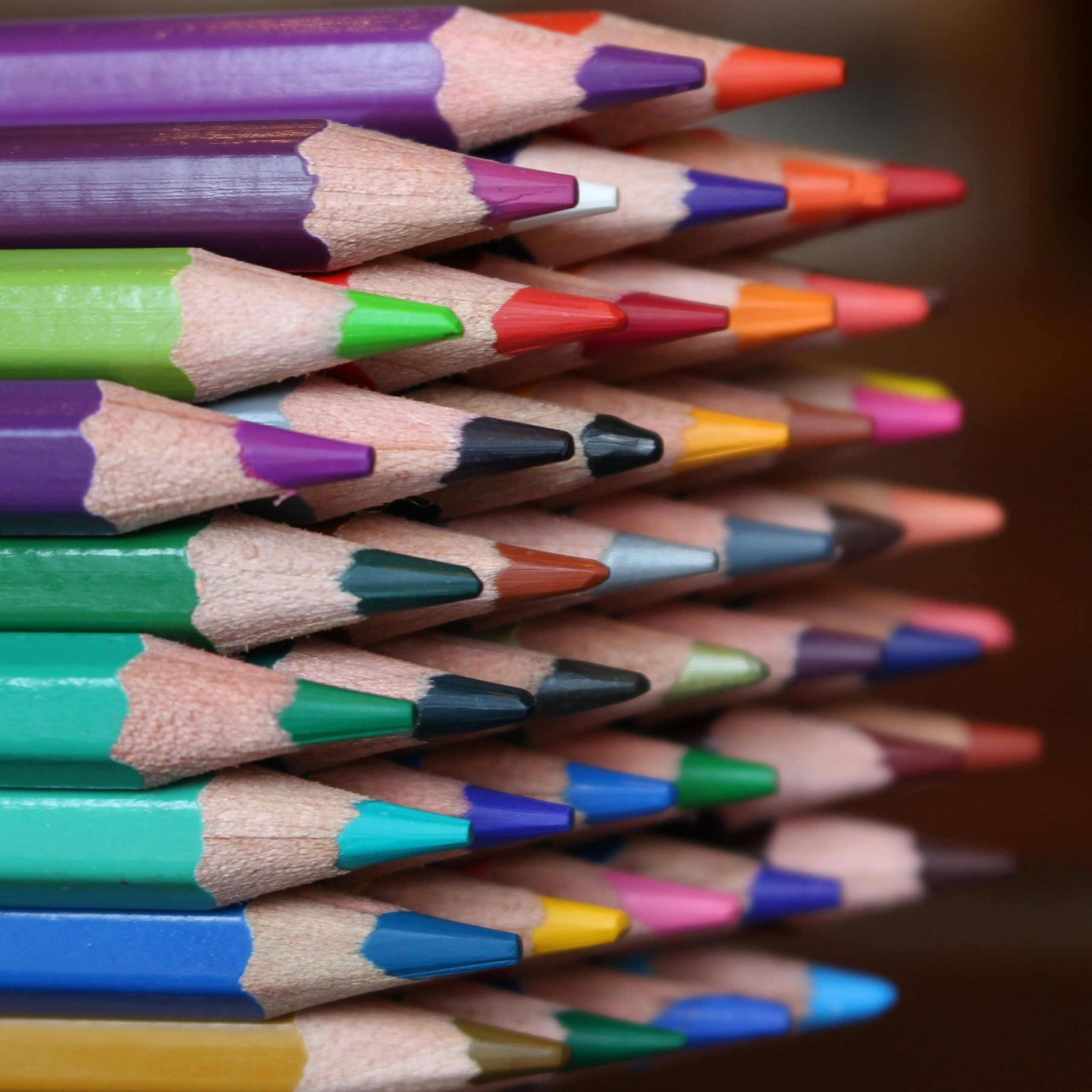 Color Pencil for Beginners