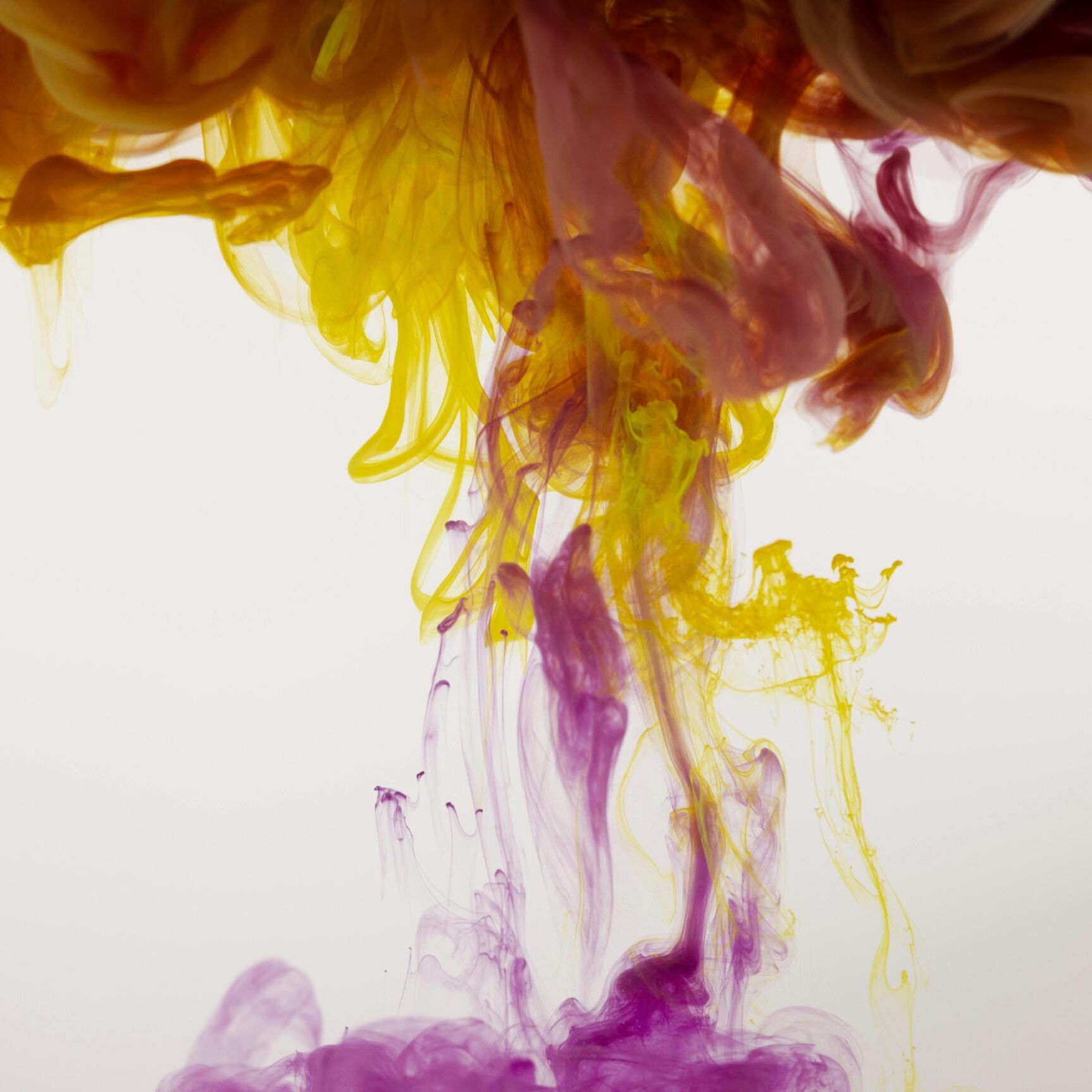 How to Use Fluid Acrylic Paint Like Watercolor - Beginner