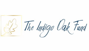 indigo oak fund sponsor art center classes