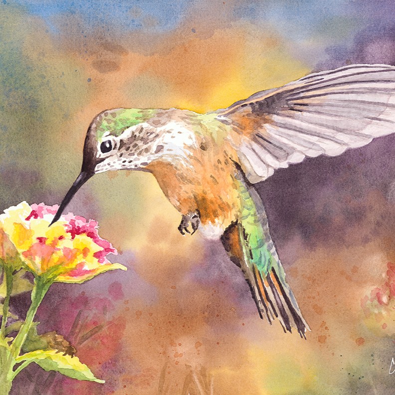 Vibrant Watercolor