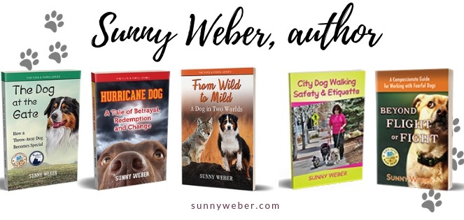 Sunny Weber