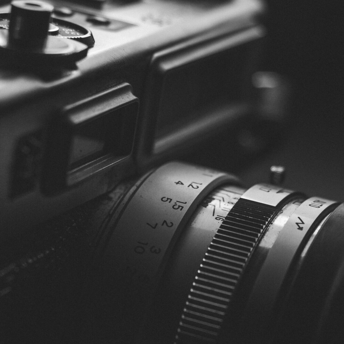 Introduction to Photography - Beginner