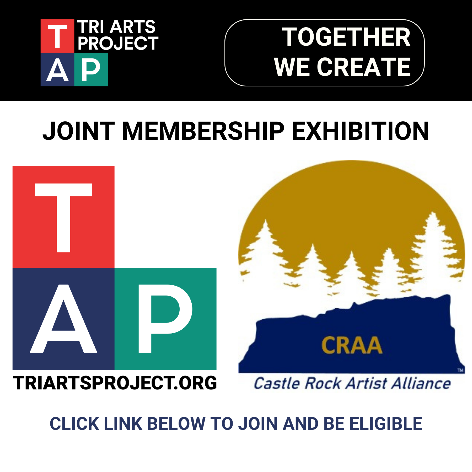 artist call for entry advertisement CRAA tri arts project member