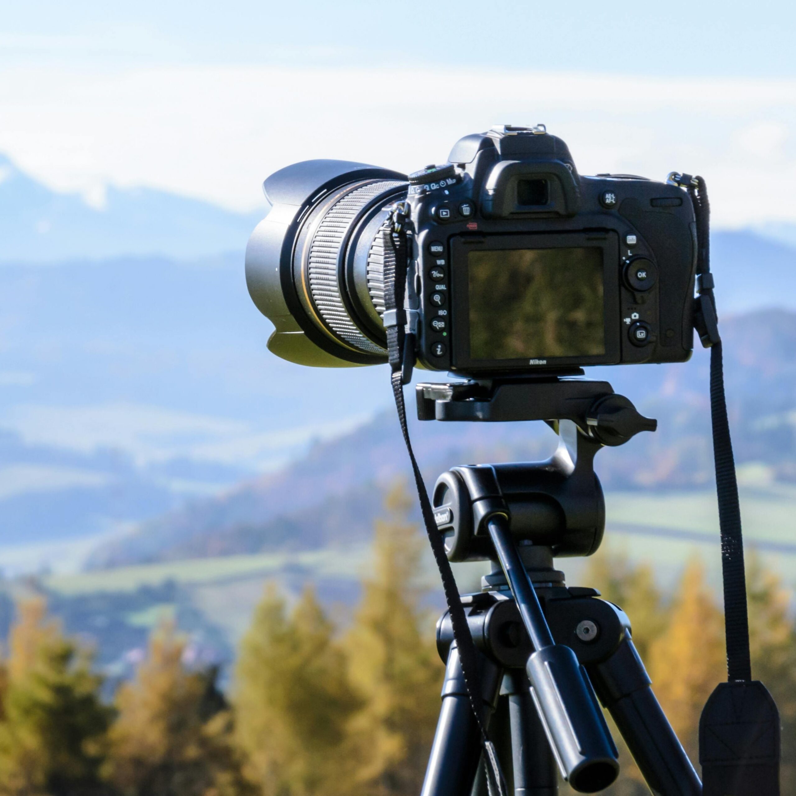 21-marc-feldman-digital-photography-intermediate-august26-example-01-scaled-1.jpg