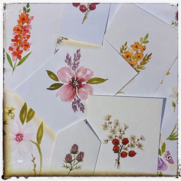 31-virginia-angus-tiny-watercolor-flower-cards-example-01-1.jpeg