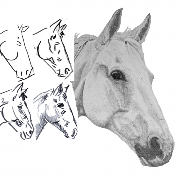 50-robert-quimby-art-of-drawing-horses-example-01-1.png